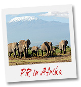 PR Agentur PR4YOU Afrika, Public Relations Agentur Afrika, Presseagentur Afrika