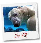 Zoo PR: PR-Agentur PR4YOU f�r Zoos: PR Agentur f�r Zoos