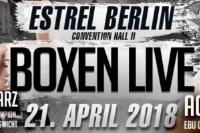 Aktion Bert - 365 Tage unterwegs zugunsten des Tierrettung Unterland e.V. in Neckarsulm bei Heilbronn: Teddybär Bert als VIP-Gast von SES-Boxing und der PR-Agentur PR4YOU bei der Europameisterschaft im Schwergewicht im Estrel Hotel Berlin