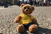 Aktion Bert - 365 Tage unterwegs zugunsten des Tierrettung Unterland e.V. in Neckarsulm bei Heilbronn: Teddybär Bert als VIP-Gast von SES-Boxing und der PR-Agentur PR4YOU bei der Europameisterschaft im Schwergewicht im Estrel Hotel Berlin