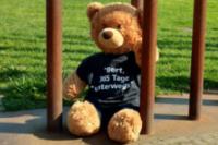 Aktion Bert - 365 Tage unterwegs zugunsten des Tierrettung Unterland e.V. in Neckarsulm bei Heilbronn: Teddybär Bert als VIP-Gast von SES-Boxing und der PR-Agentur PR4YOU bei der Europameisterschaft im Schwergewicht im Estrel Hotel Berlin